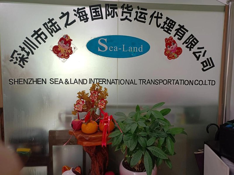 把握全球机遇：进出口贸易代理行业现状与展望